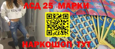 spice Кулебаки