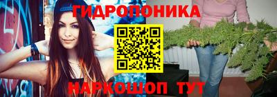 spice Кулебаки