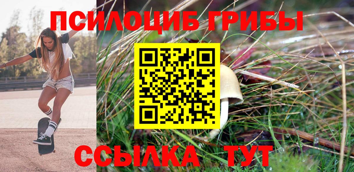 Жигулёвск  Галлюциногенные грибы Magic Shrooms  Псилоцибиновые грибы Psilocybe  Вход с VPN 